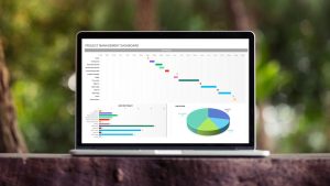 Guía de Visualización de Datos en Excel